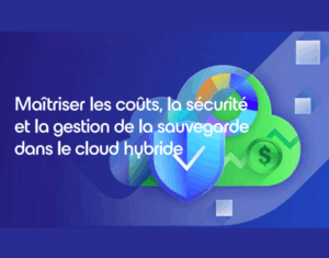 Maîtrisez la sauvegarde cloud hybride : E-book sur les solutions sécurisées