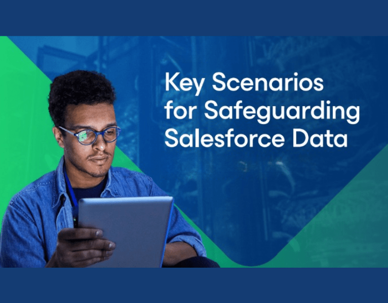 Key-Scenarios-for-Safeguarding-Salesforce-Data-1-1