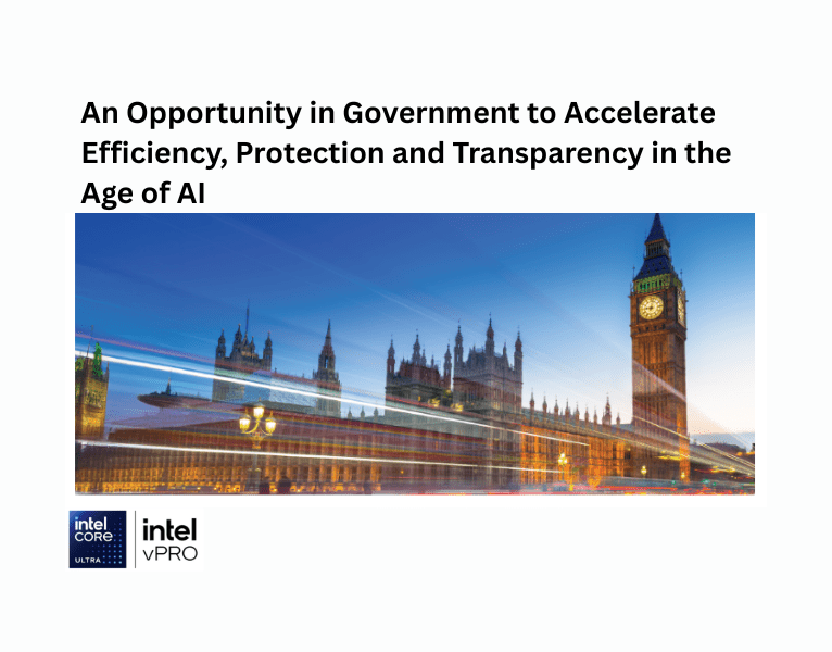 An Opportunity in Government to Accelerate Efficiency, Protection and Transparency in the Age of AI 1