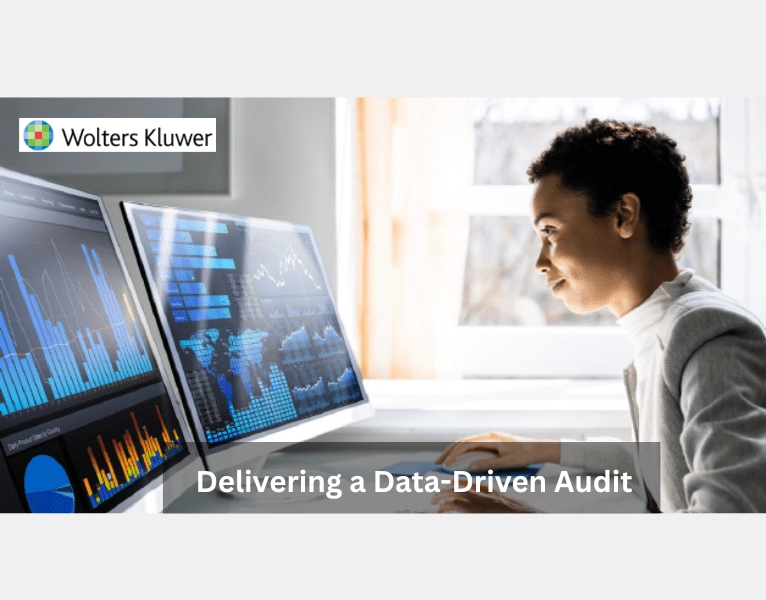 Delivering a Data-Driven Audit