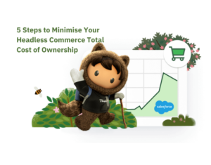 5 Steps to Minimize Your Headless Commerce Total Cost of Ownership