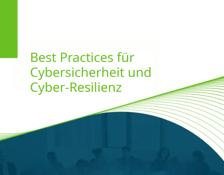 Best practices in cybersecurity and cyber resilience - DE