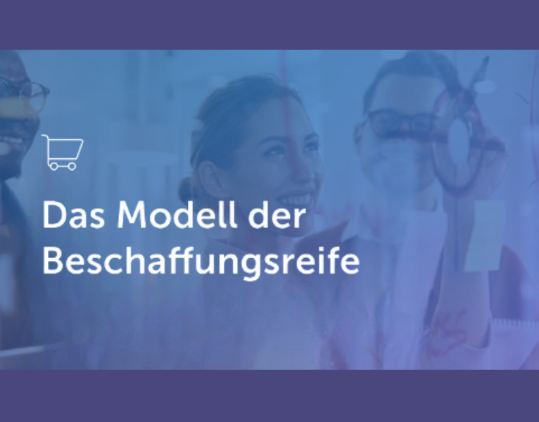 Das Modell der Beschaffungsreife