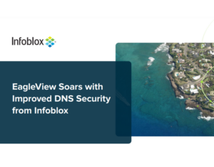 EagleView soars with improved DNS security from Infoblox