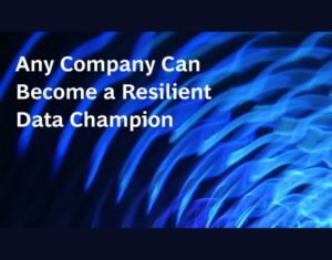 How to Become a Resilient Data Champion