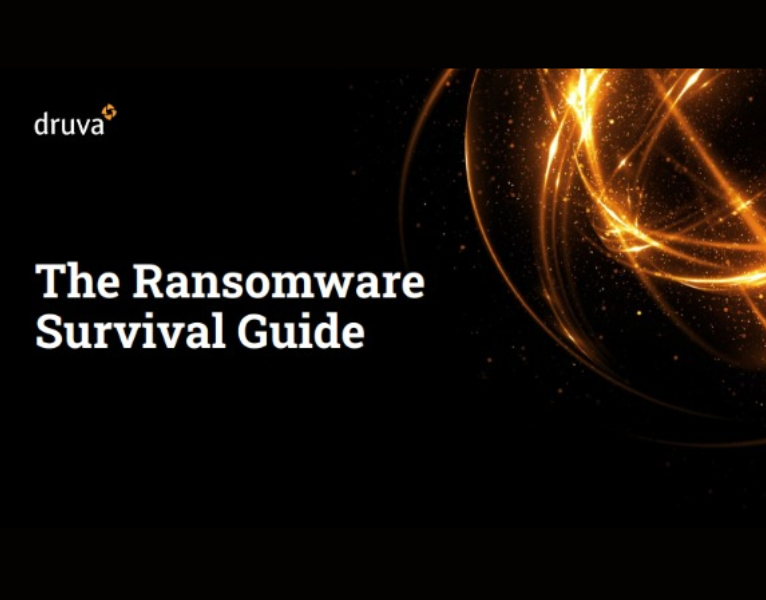 The Ransomware Survival Guide