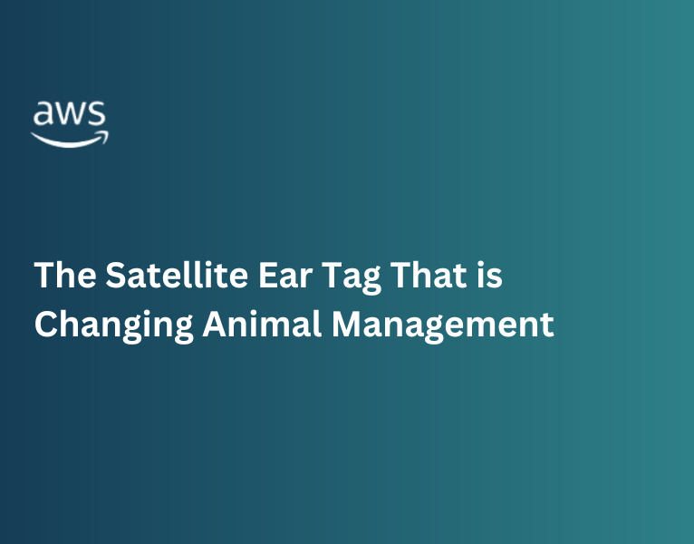 The Satellite Ear Tag That is Changing Animal Management