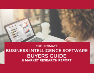 The Ultimate Business Intelligence Software Buyer's Guide (2)