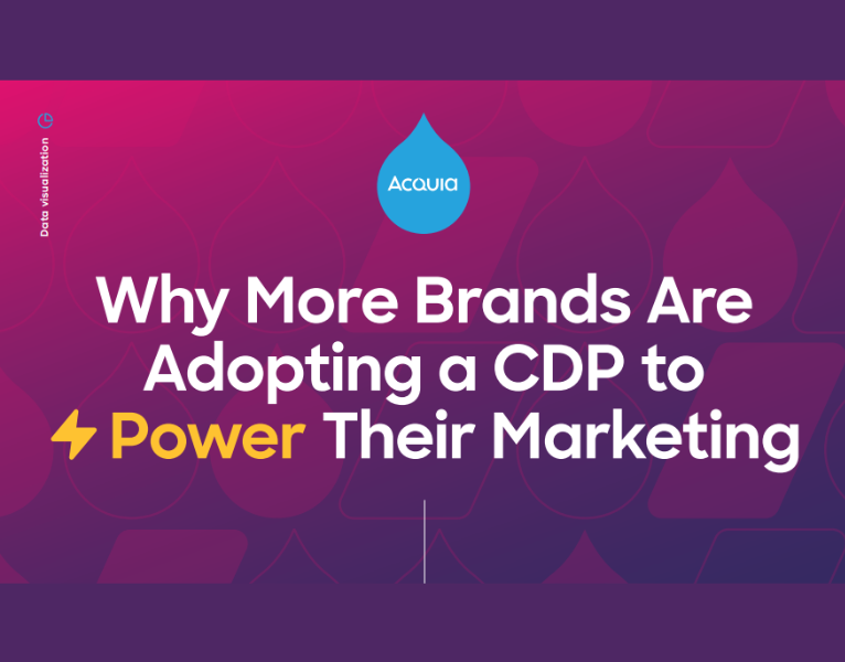 Why More Brands Are Adopting a CDP to Power Their Marketing