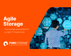 Agile Storage Core storage requirements for an agile IT infrastructure