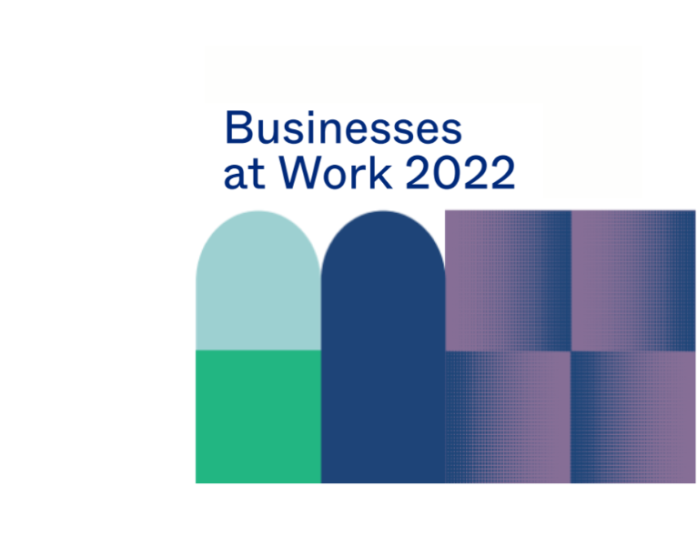 Businesses at Work 2022 - Executive Summary