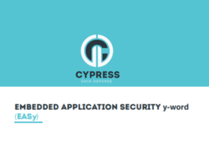 Embedded Application Security y-Word (EASy)