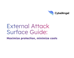 External Attack Surface Guide Maximize protection, minimize costs