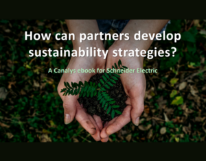 How can partners develop sustainability strategies