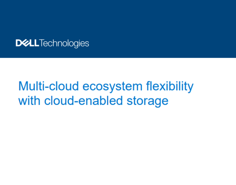 Multi-Cloud Ecosystem Flexibility with Cloud-Enabled Storage