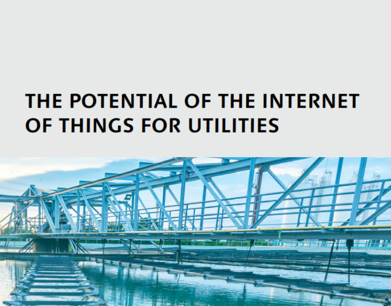 The Potential of the Internet of Things for Utilities