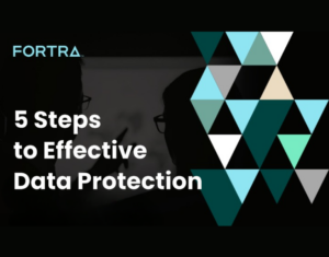 e-Book The 5 Steps To Effective Data Protection