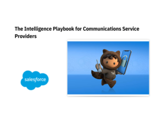 241026626-24102-64291-Salesforce - Jellyfish