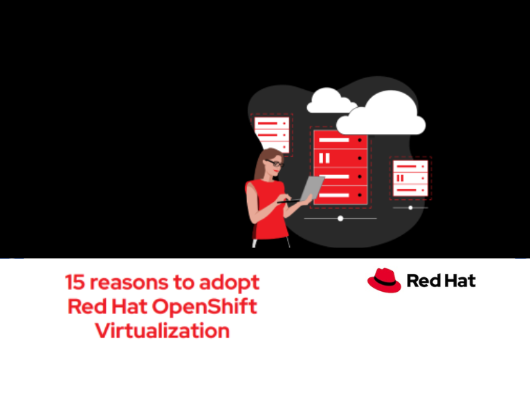 317928798-31792-65879-Red Hat - Nethawk Interactive