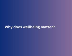 Executive Summary - Why does work wellbeing matter