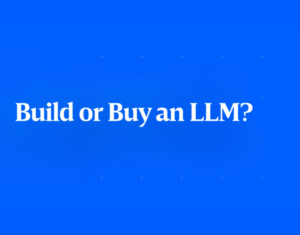 Build or Buy an LLM