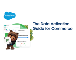 The Data Activation Guide for Commerce