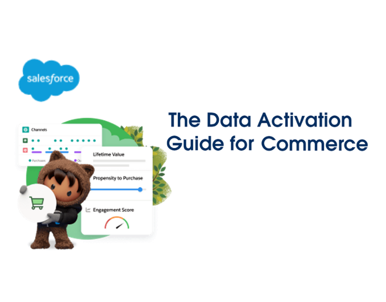 The-Data-Activation-Guide-for-Commerce