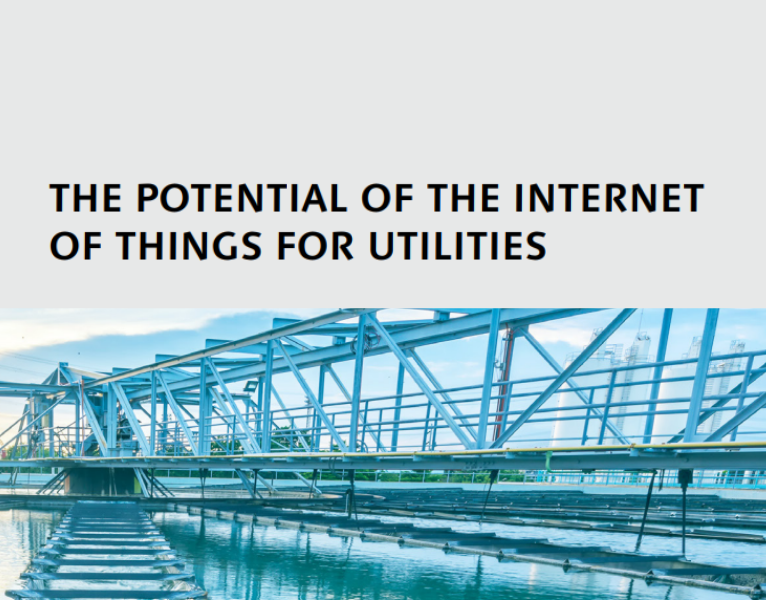 The-Potential-of-the-Internet-of-Things-for-Utilities-1