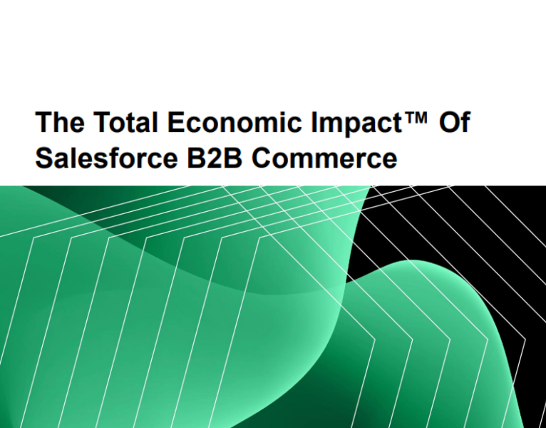 The Total Economic Impact™ of Salesforce B2B Commerce