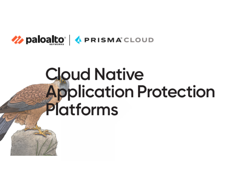 O’Reilly Cloud Native Application Protection Platforms