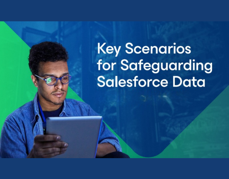 Key-Scenarios-for-Safeguarding-Salesforce-Data