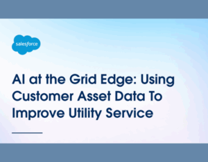 AI-at-the-Grid-Edge-Using-Customer-Asset-Data-to-Improve-Utility-Service