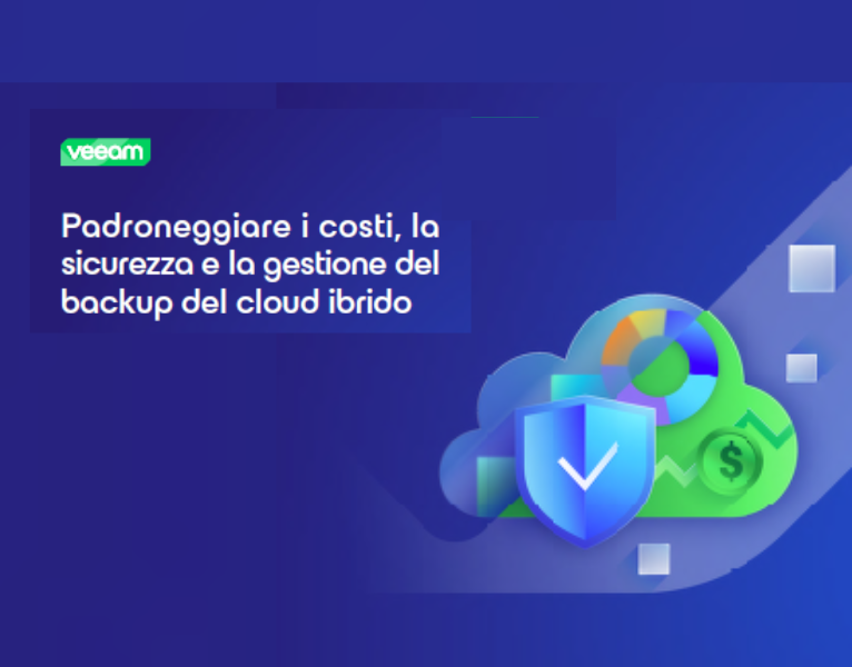 Padroneggia il backup del cloud ibrido: E-book sulle soluzioni sicure