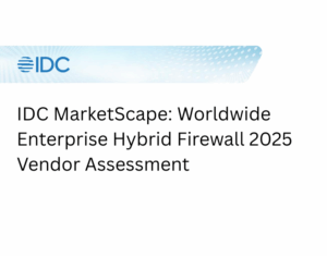 Worldwide Enterprise Hybrid Firewall 2025 Vendor Assessment