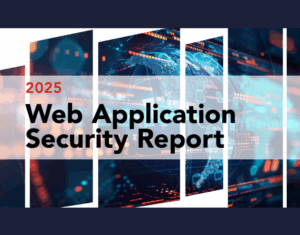 2025 Web Application Security Report