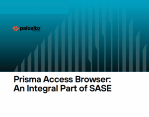 Protect Data in the Browser, Instantly