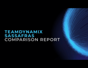 ITAM Quadrant & Rankings