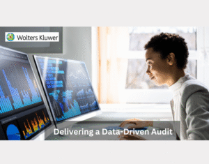 Delivering a Data-Driven Audit
