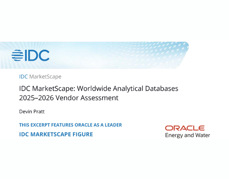 IDC Marketplace Worldwide Analytical Databases 2025-2026 Vendor Assessment