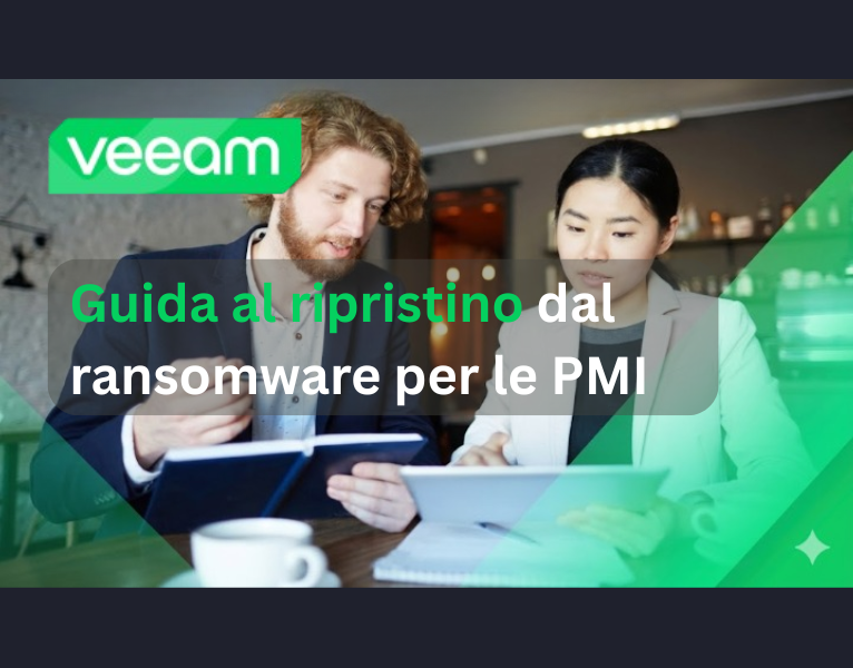 La Guida PMI Al Ripristino Dal Ransomware