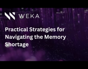 Practical Strategies for Navigating the Memory Shortage