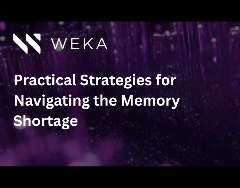 Practical Strategies for Navigating the Memory Shortage